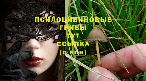 кокаин VHQ Каменка