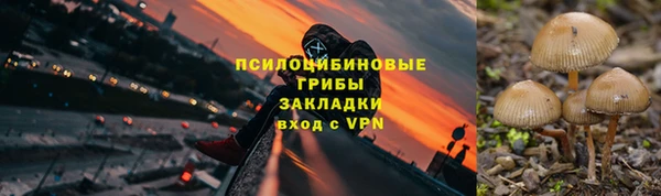 амф Каменногорск