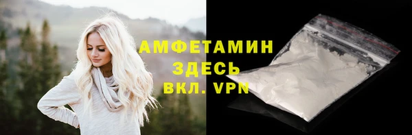 амф Каменногорск