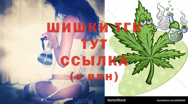 амф Каменногорск