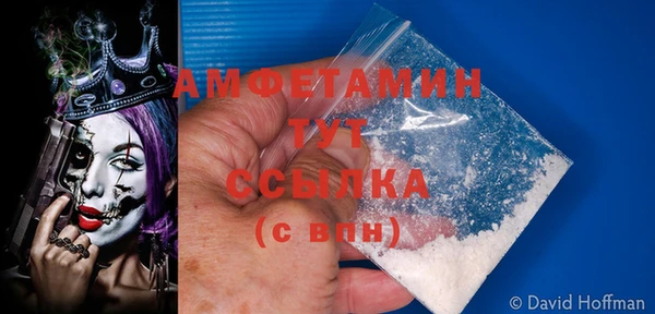 амф Каменногорск