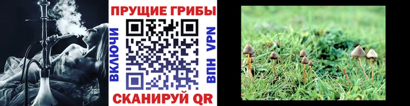 Псилоцибиновые грибы мицелий Купить закладки Талица